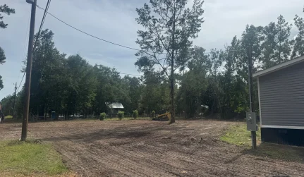 coastal land clearing llc brunswick ga 2026 01 24T03 51 33.958471Z 6788