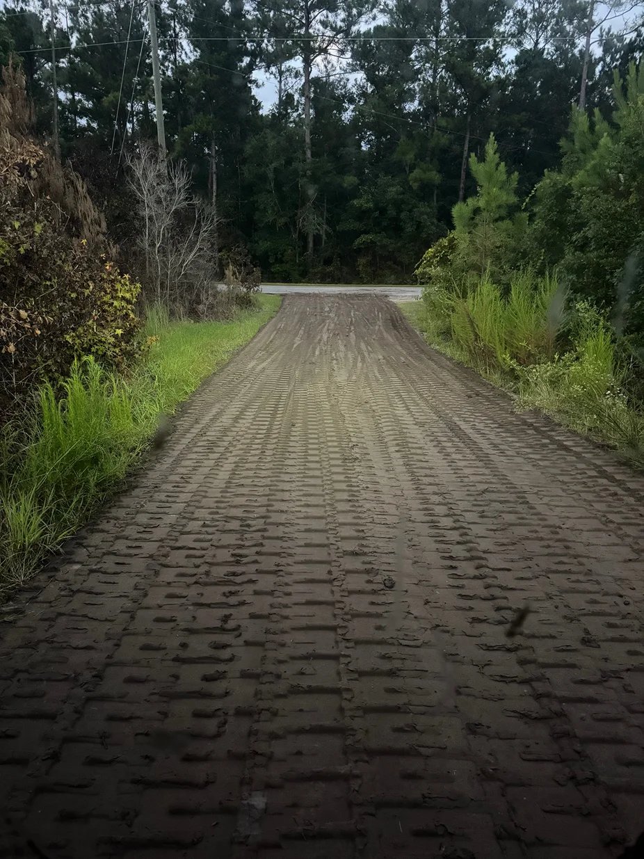 coastal land clearing llc brunswick ga 2026 01 24T03 51 37.187899Z 13513